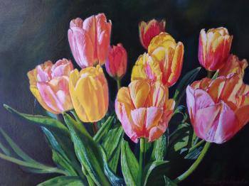 ��������