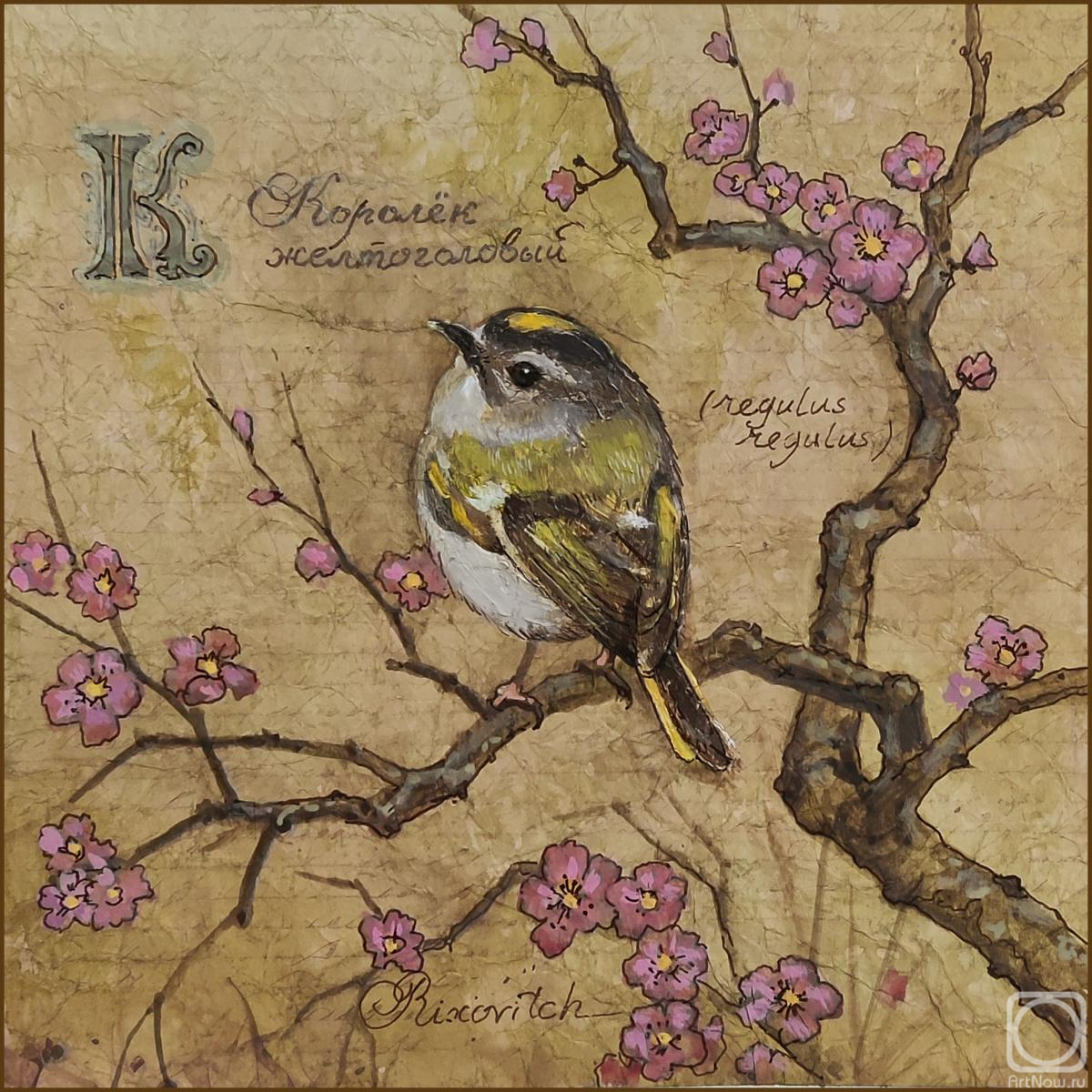 Volkov Sergey. Untitled