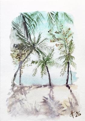 �������� ���������. ��������� ������. ������. ������ �������