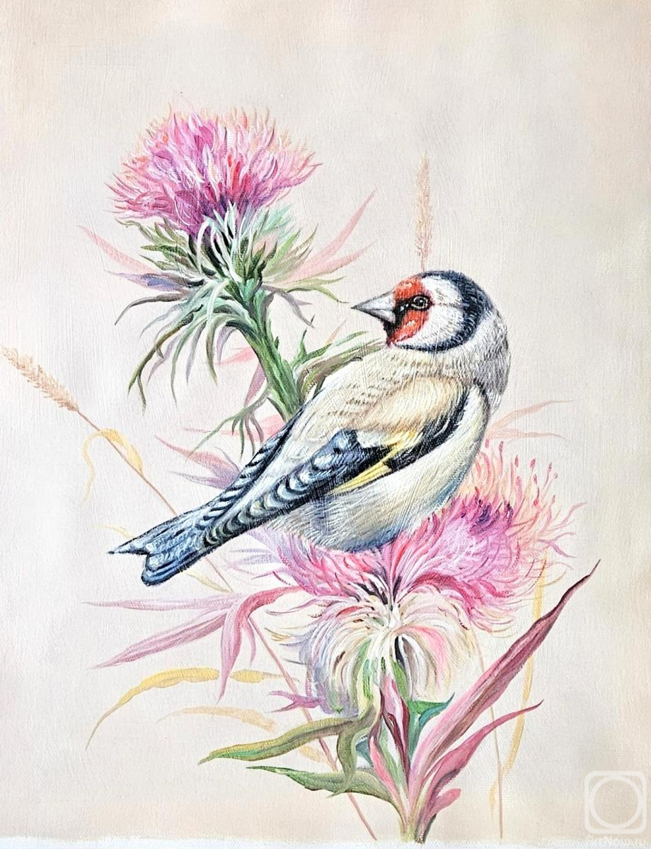 ������� ������ �� ������. ����� ����. ����� �� �����������