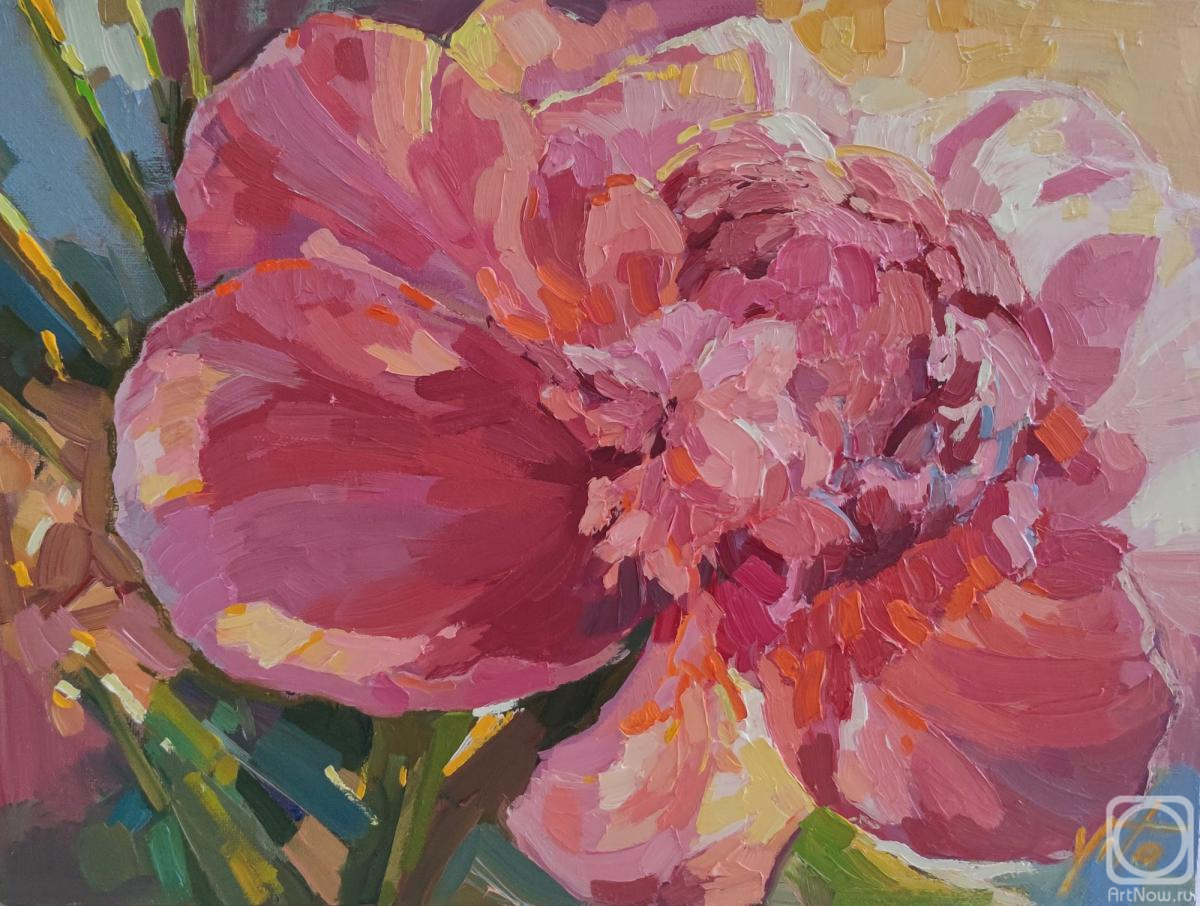 ������� ������ �� ������. ������ ��������. �������