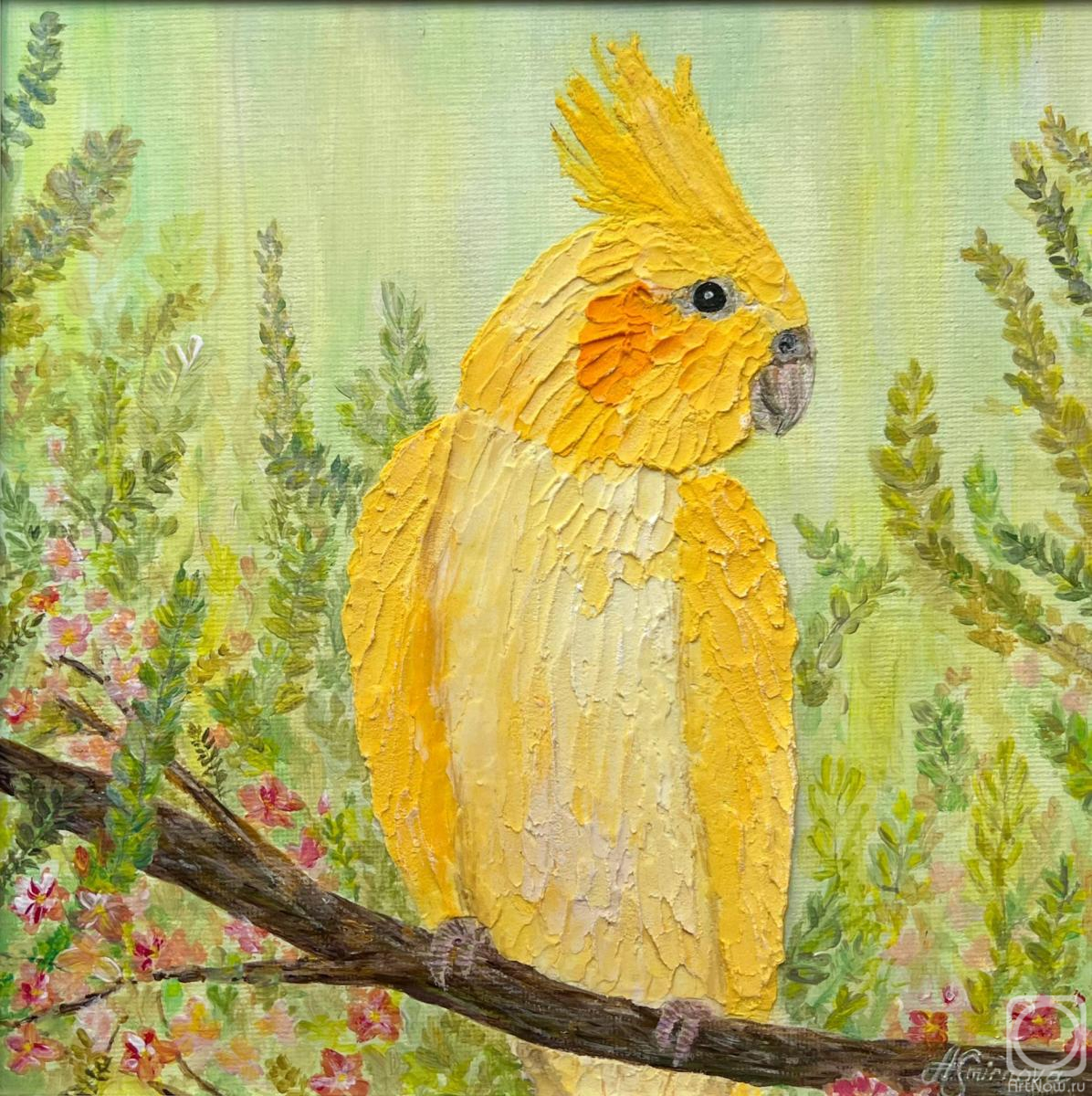 �������. �������� �����. ���������� �����