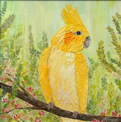 Goldie the Parrot. Smirnova Alina