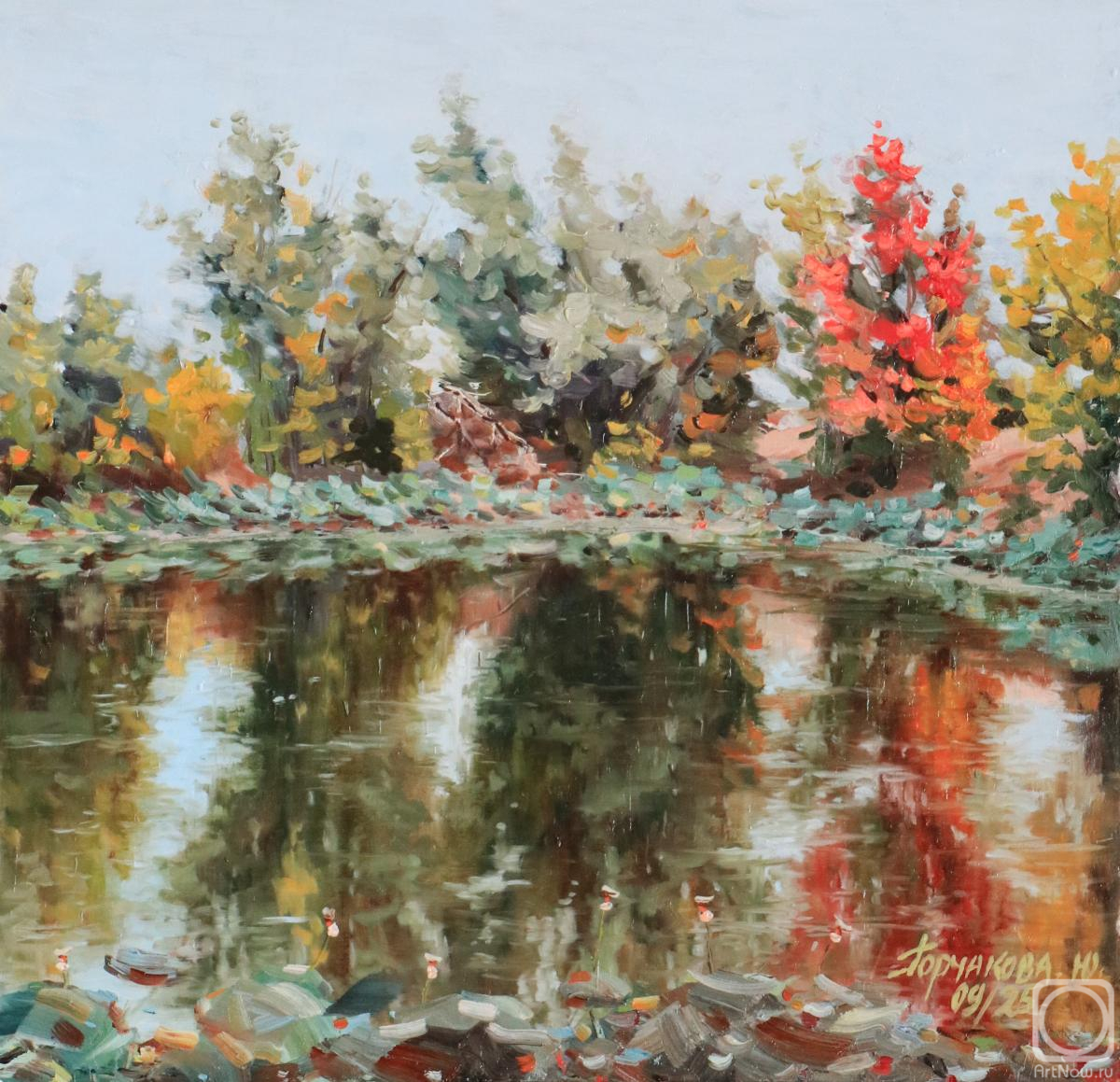 �������. ��������� ����. ���� ������ �� ����� �������