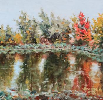 ���� ������ �� ����� �������. ��������� ����