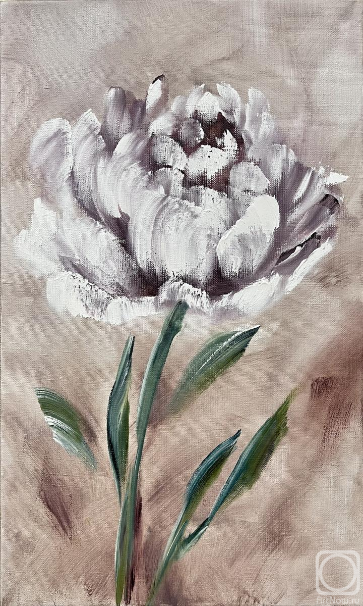 ������� ������ �� ������. �������� ������. ���� ������� � �������