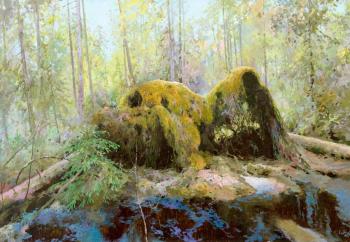 ����� ������� ����� ��� -�� ���� ������