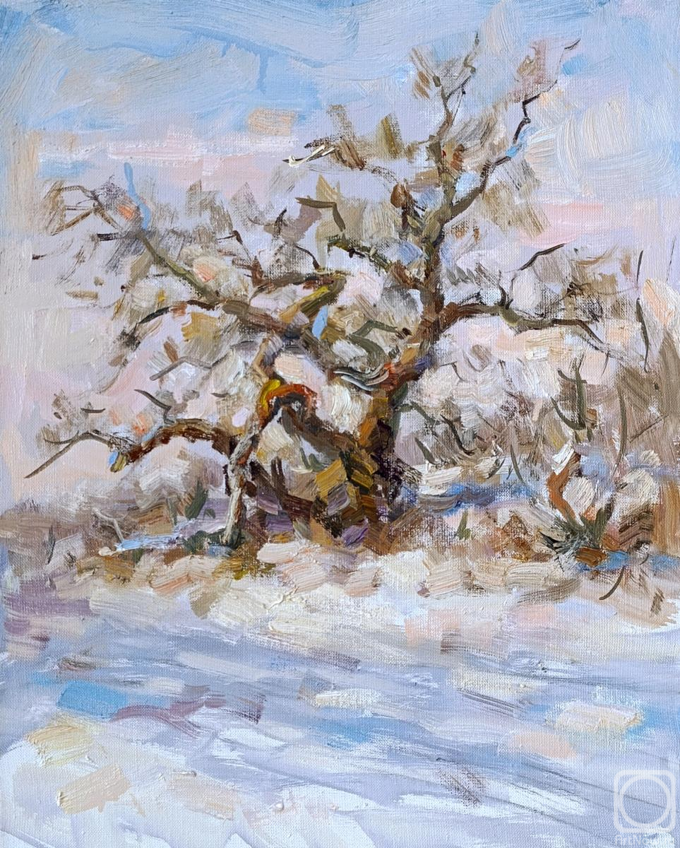 ������� ������ �� ������. ������ ����. ����