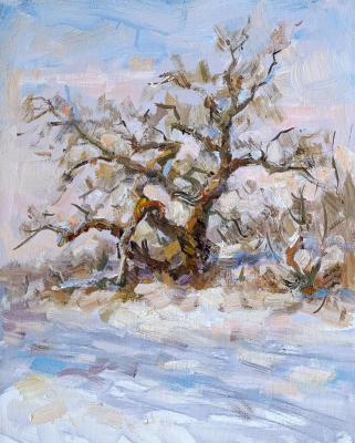 ����. ������ ����