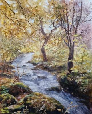 ������ �����