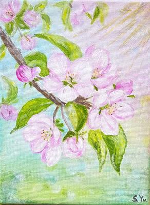 �����. ��������� ����