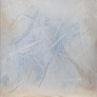 Light Environment I. Pentkovskaya Anastasiya