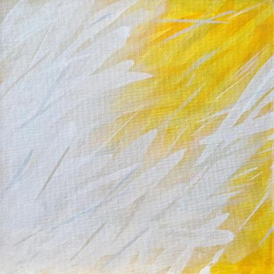 Light Environment III. Pentkovskaya Anastasiya