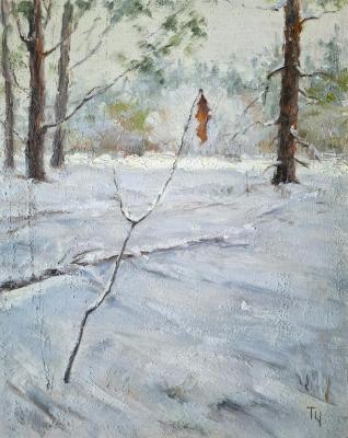 Untitled. Chepkasova Tatiana