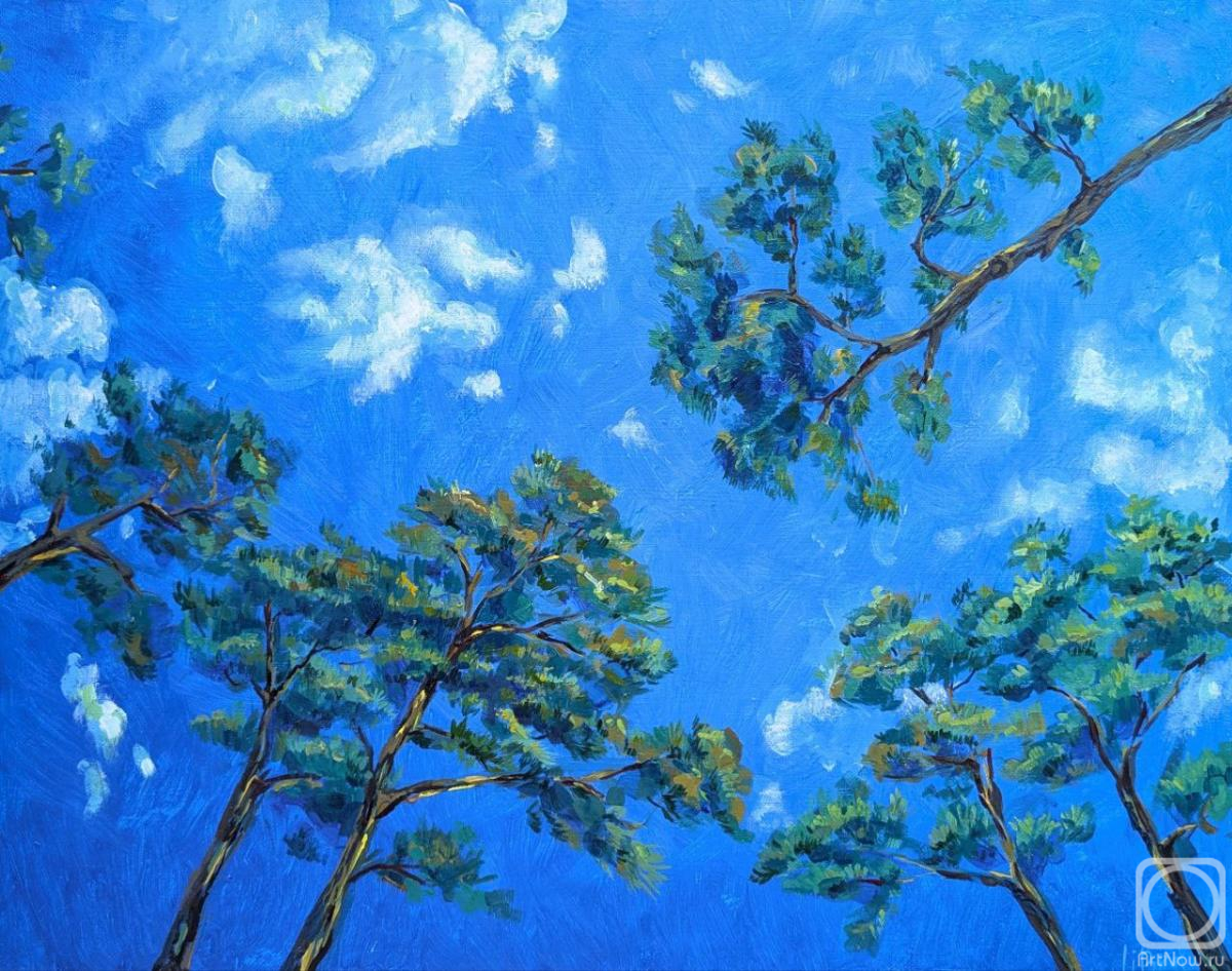 ������� ������ �� ������. ����� ������. ���� � �����