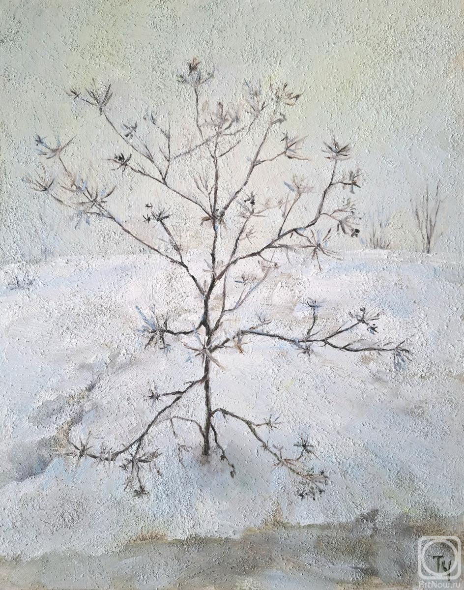 �������. ��������� �������. ������� ���������