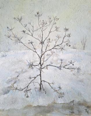 ������� ���������. ��������� �������