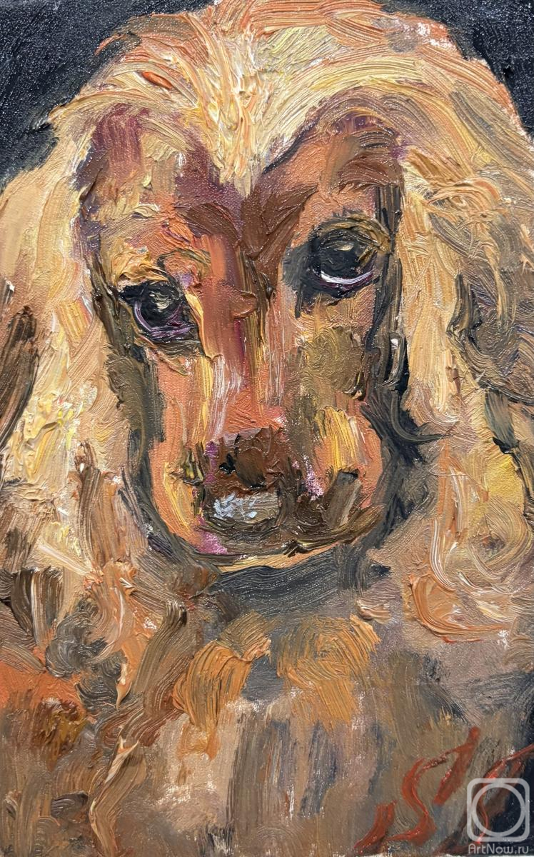 Shtamburg Svetlana. Untitled