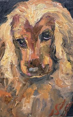 �����������. �������� ��������