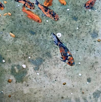 ����������� �����. ��������� ��������