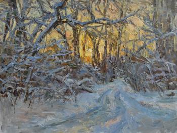 ������ ���