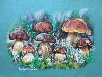 ����� �����