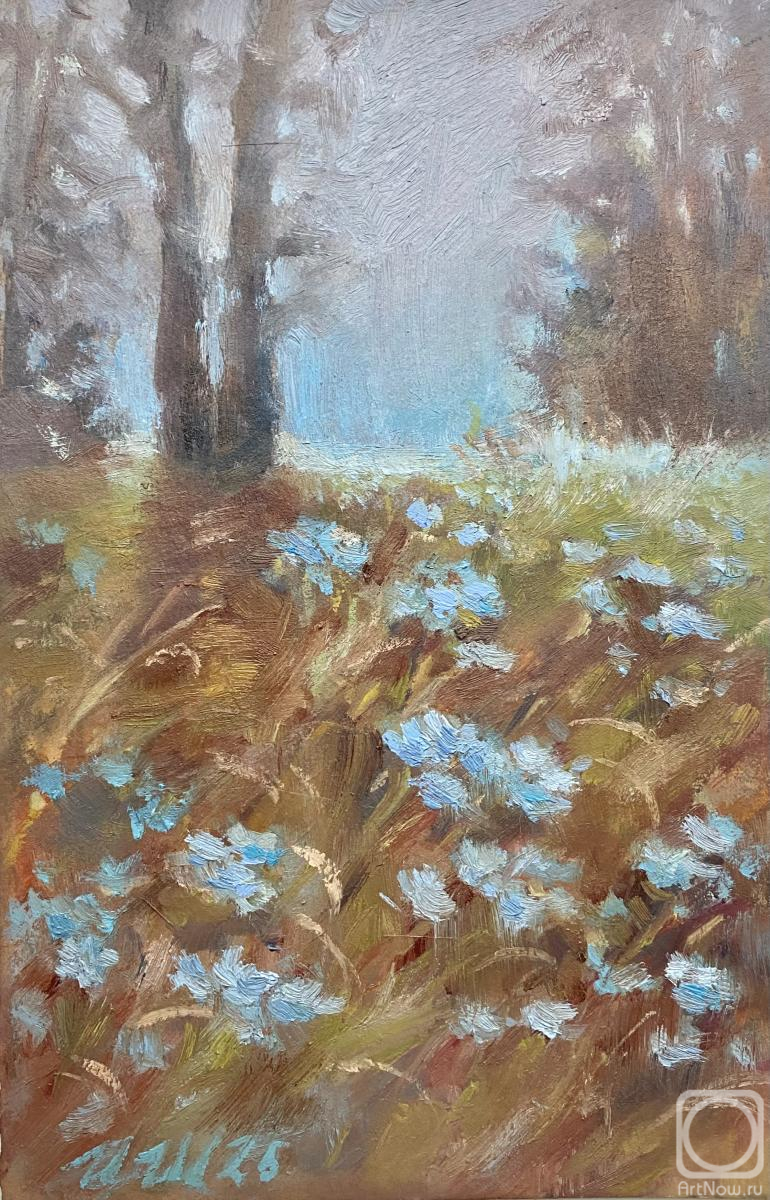 �������. �������� �����. �������� ������� ����