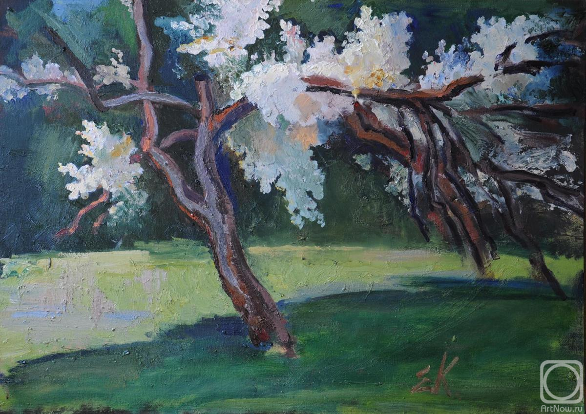 �������. ������������ �������. ���