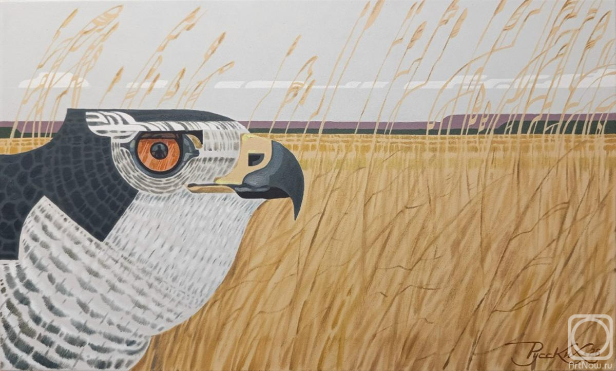 ������� ������ �� ������. ������� �����. �������