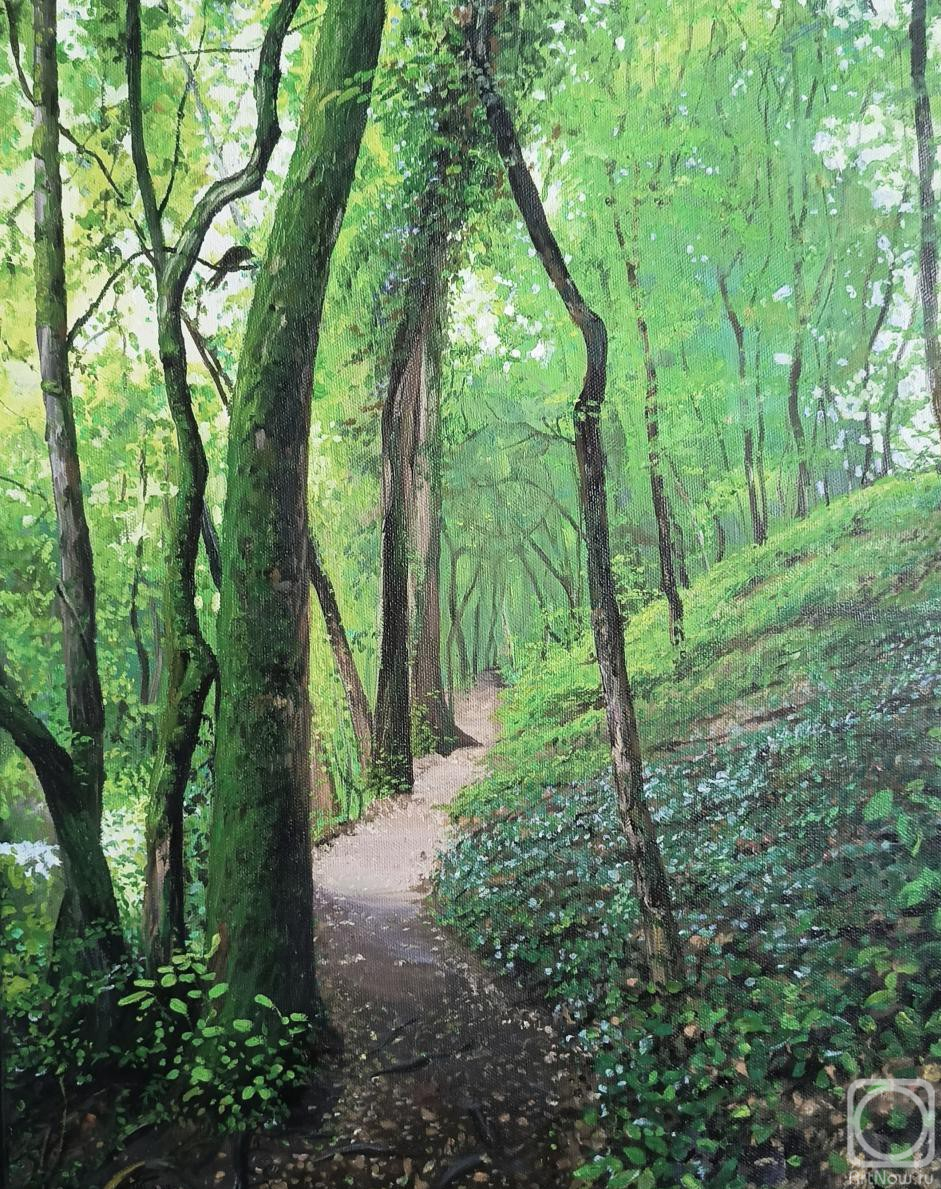 ������� ������ �� ������. �������� ������. ������ ����