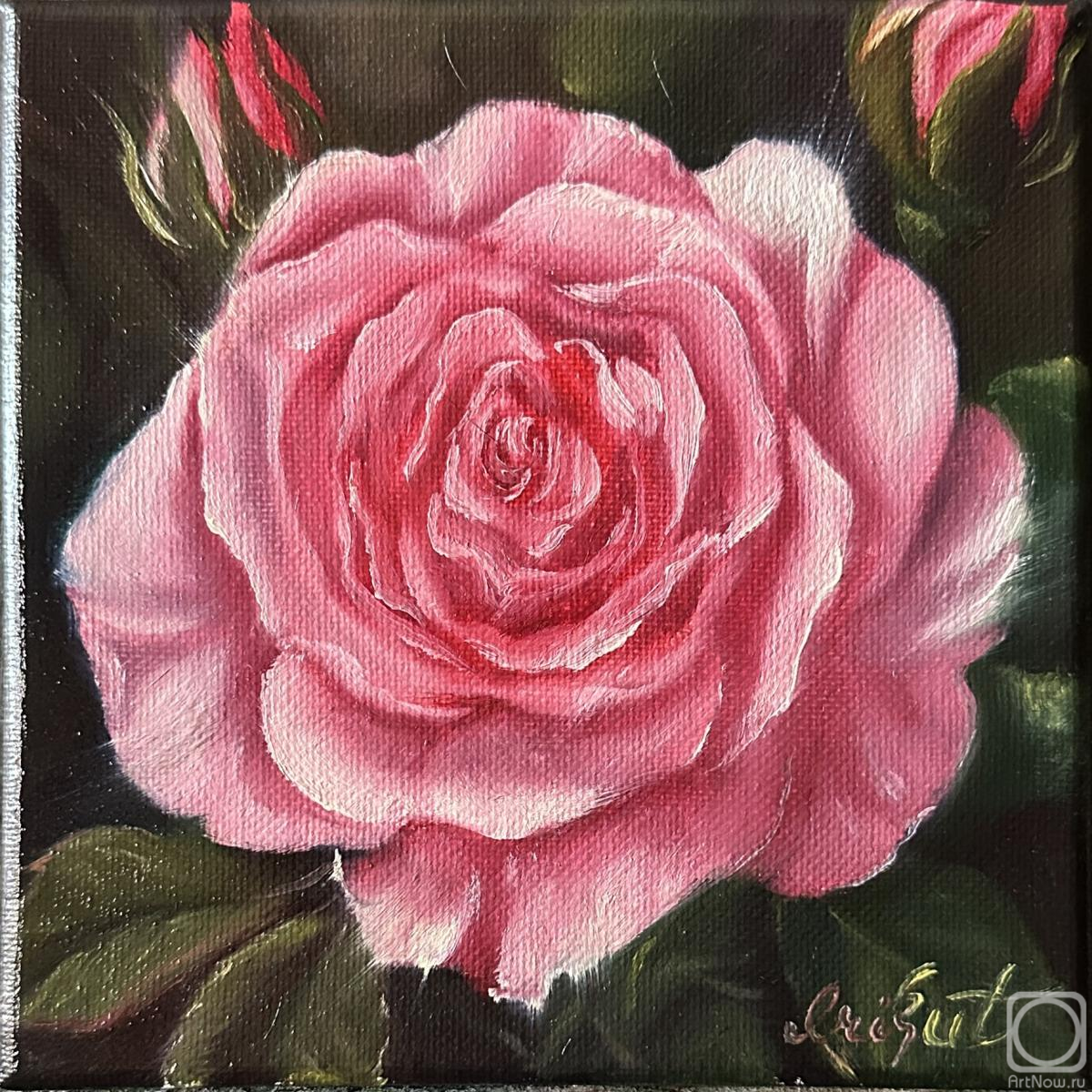 ������� ������ �� ������. ������� �����. � �������� ���������