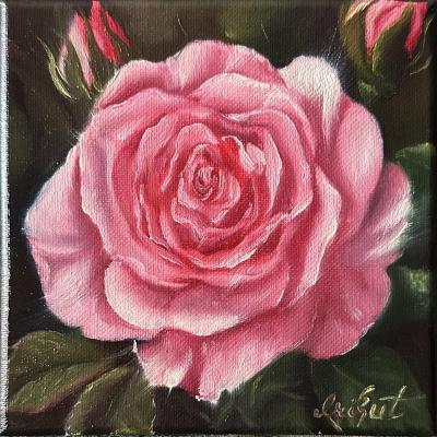 ������� �� �������� ���������