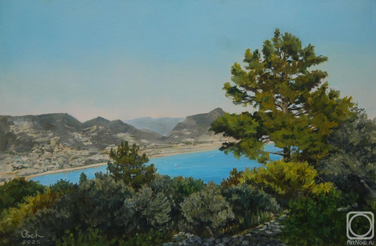 ������� ������ �� ������. ��������� �����. ��� �� �����