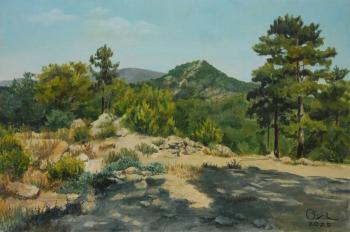 Landscape with pine trees. Shelkovski Olga