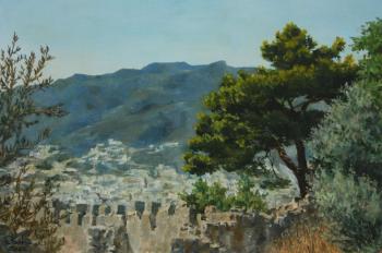 View from the fortress wall. Shelkovski Olga