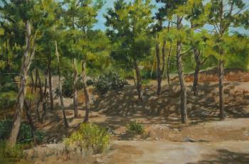 The pines. Shelkovski Olga