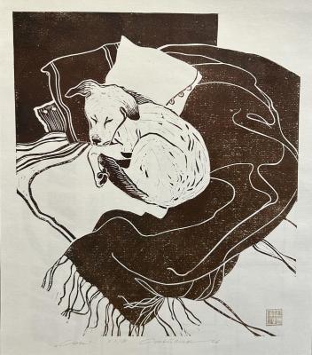 Dream. Stoylik liudmila