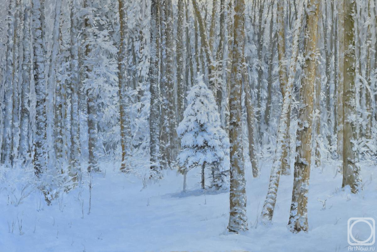 �������. ��������� ��������. ����. ������ ���