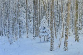 ����. ������ ���