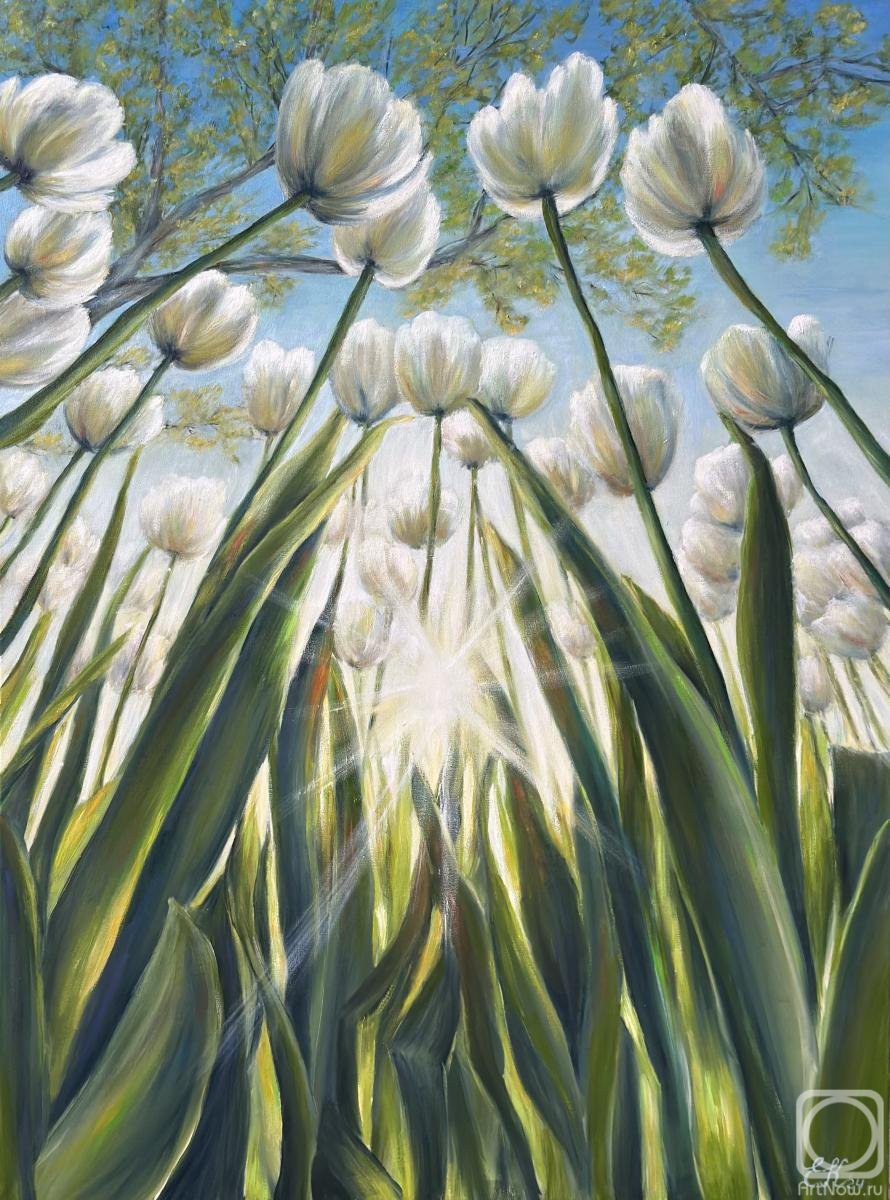 Kudashova Ekaterina. Untitled