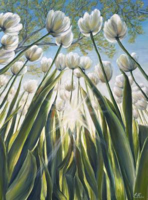 Untitled. Kudashova Ekaterina