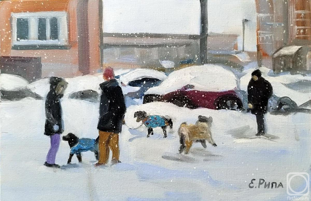 ������� ������ �� ������. ���� �����. ����� ����� ��������!