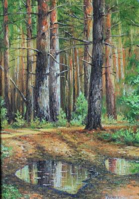 Whisper of a pine forest