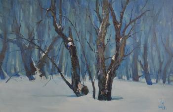 ������� ����������