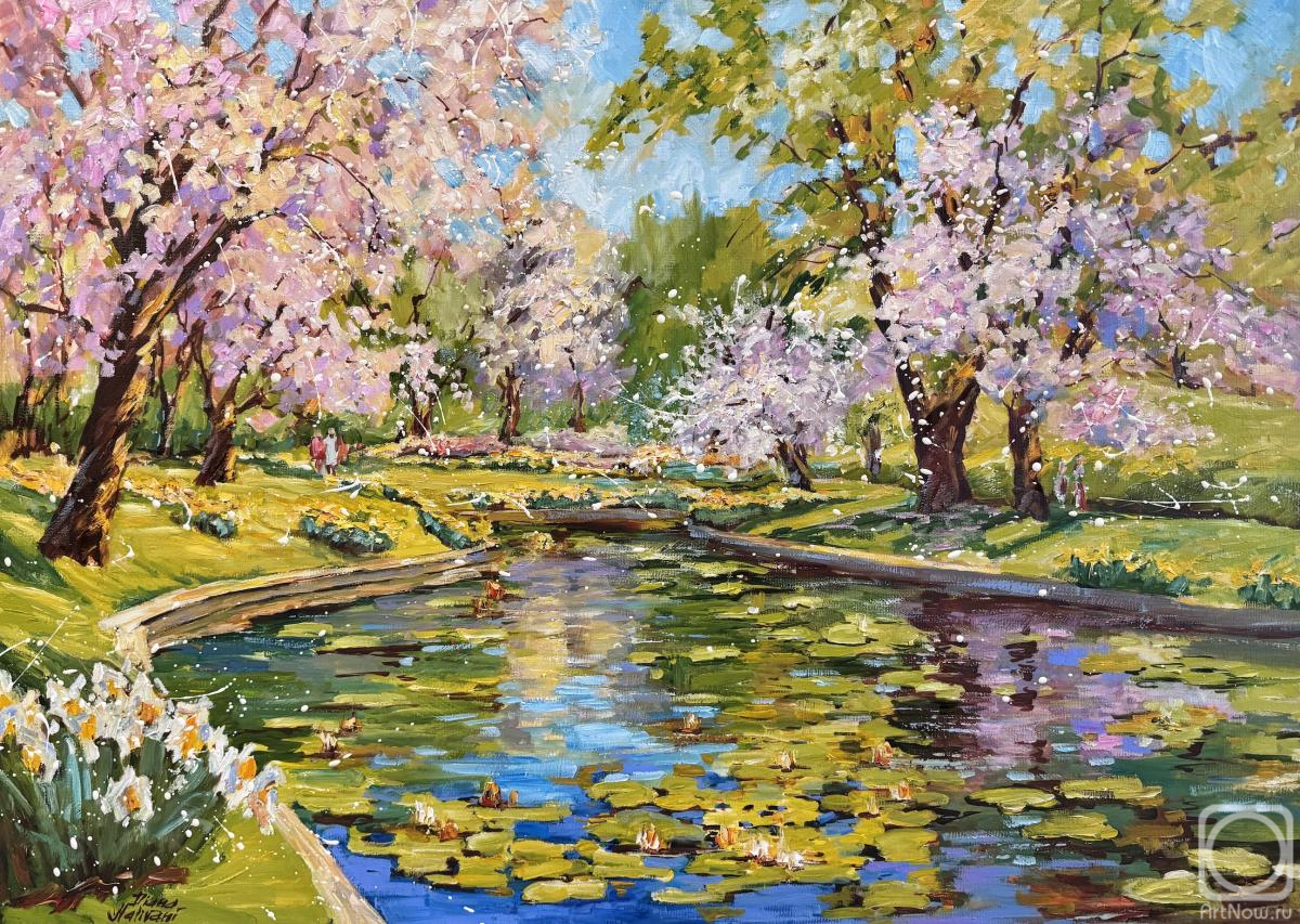 ������� ������ �� ������. �������� �����. �����. �����