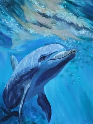 �������