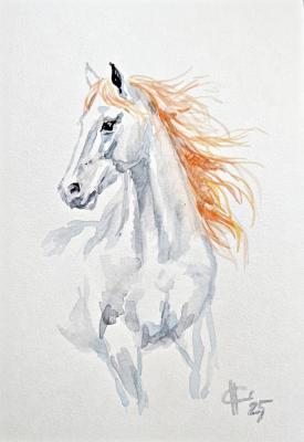 ����� ������ � ������� ������. ������ �������