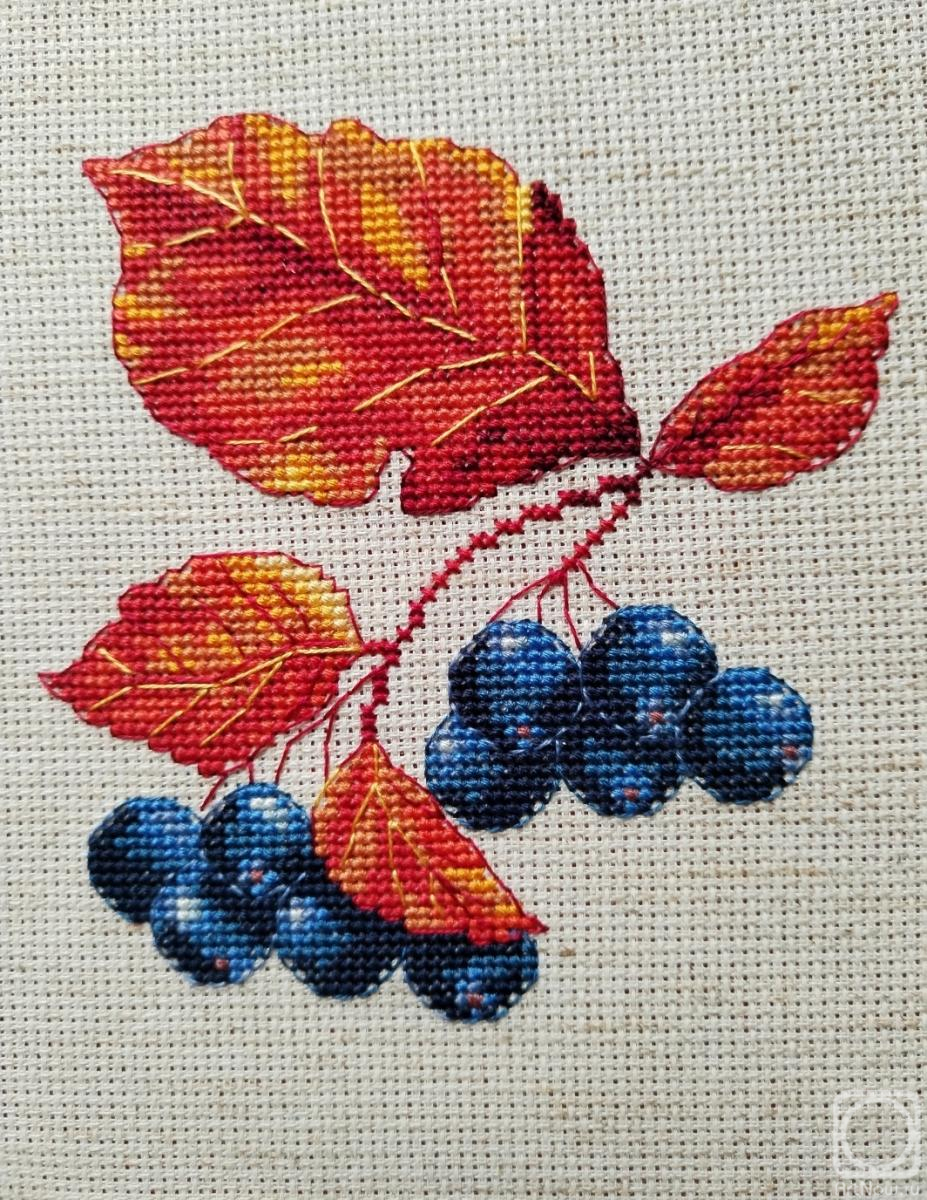 �������. ������� ��������. "������������ ������" 24�24 ��