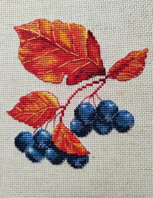 "������������ ������" 24�24 �� (������� ������� �������). ������� ��������