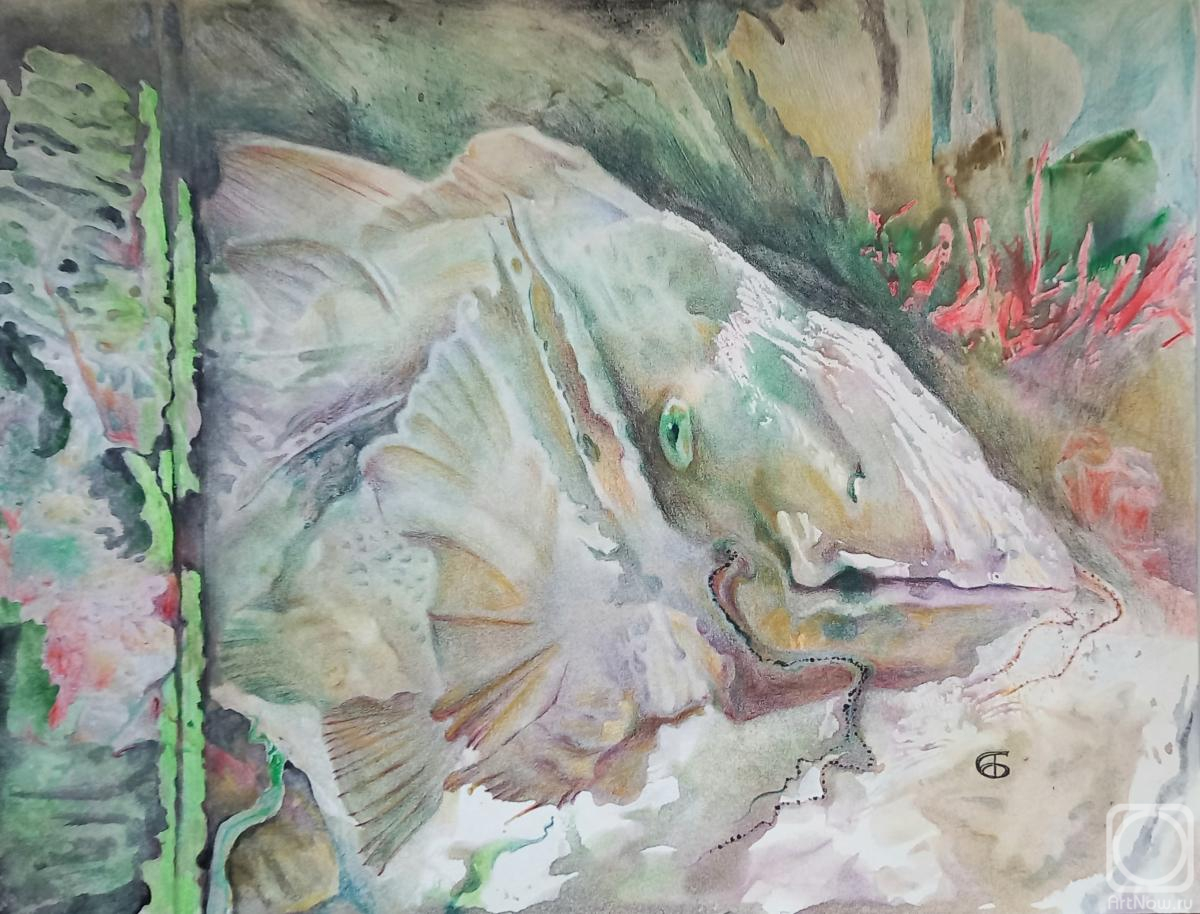 �������. ������� ��������. ��� ������� ����